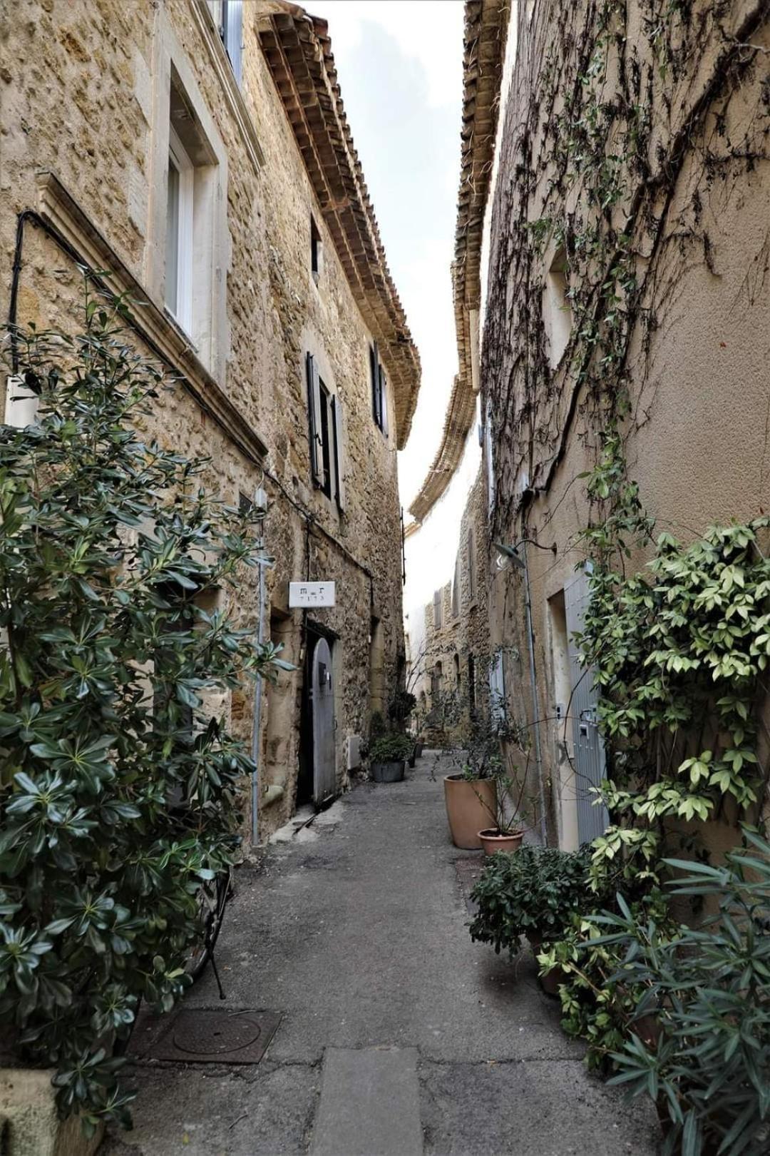 Maison La Plaine Lourmarin Dış mekan fotoğraf